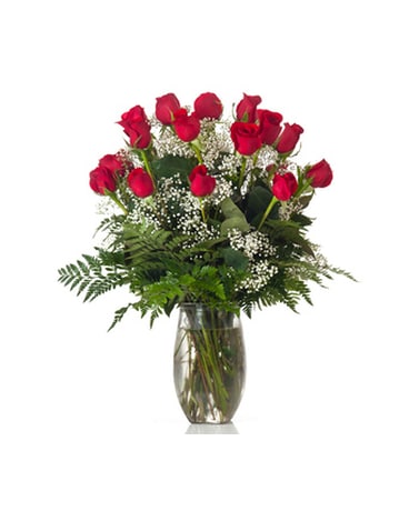Buds and Blooms Multiple Dozen Roses