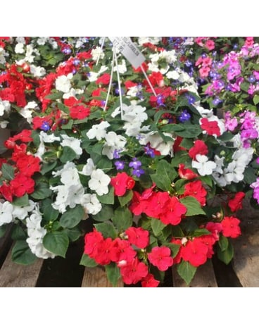 Red & White Impatient Basket