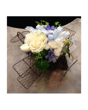 Baby Airplane Dans Memphis Tn Le Fleur