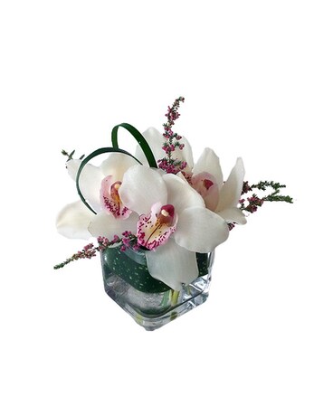Mini Orchid Cube