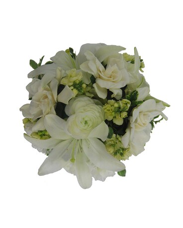 Gardenia Glam