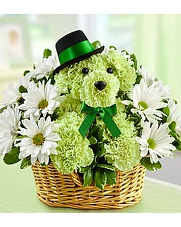 St. Paddy Dog
