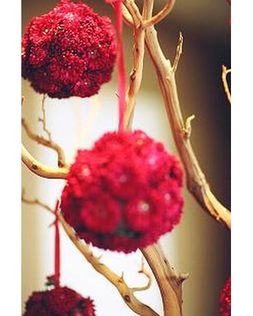 Red Pomanders from branches