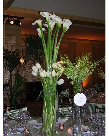 Tall White Calla Lilies