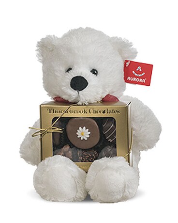 1/4 lb CHOCOLATE AND BEAR 10.5