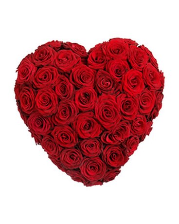 Red Rose Heart
