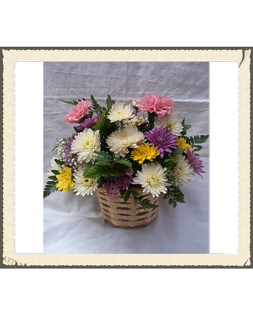 all round basket
