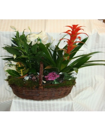 TAKE HOME LIVING PLANTER