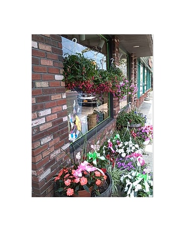 flowering plants