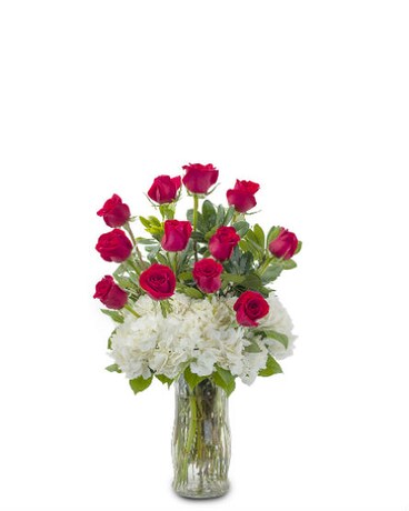 Lush Roses