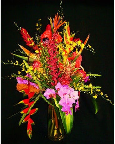 Tropical Delight