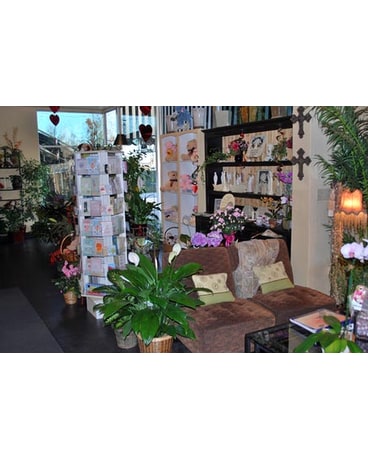 Store