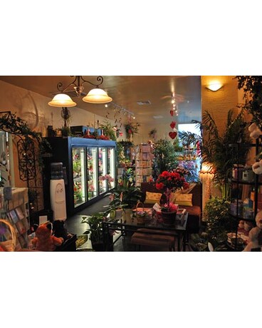 Store