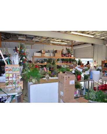 Store