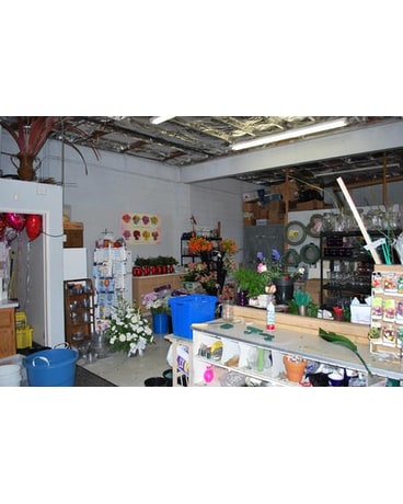 Store