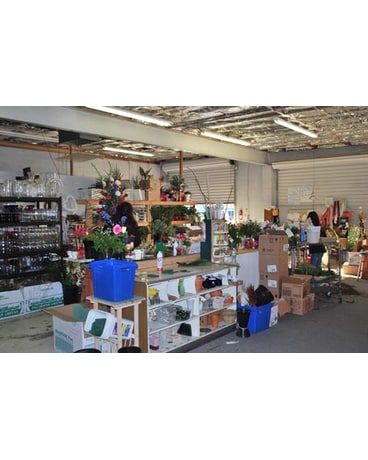 Store