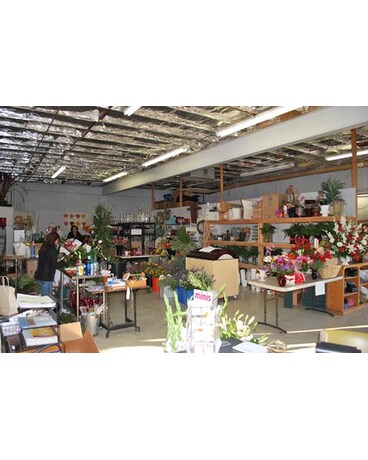 Store