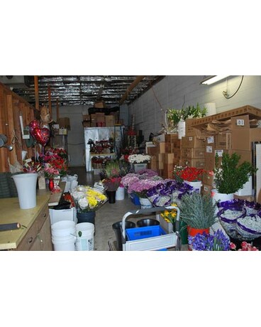 Store