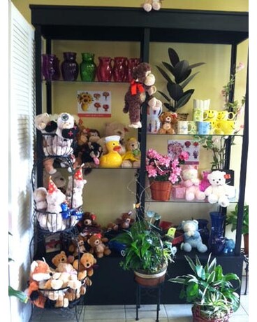 Store