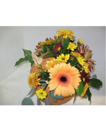 Fall Assorted Mums