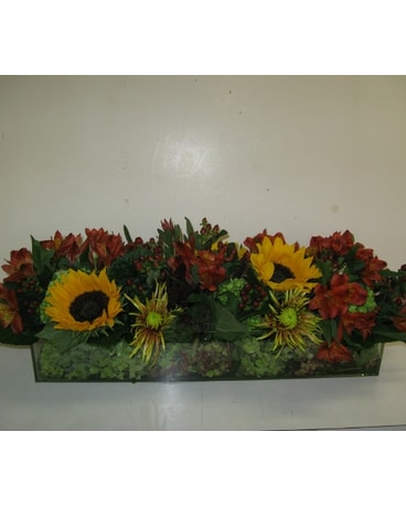 CFS13-002