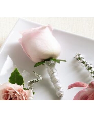 Rose Bout