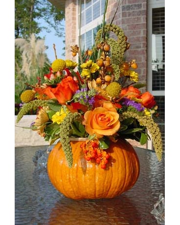 Pumpkin