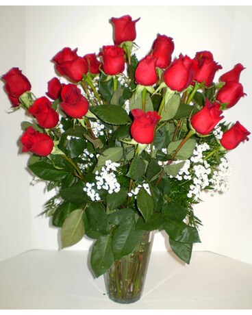 Rose Romance Supreme