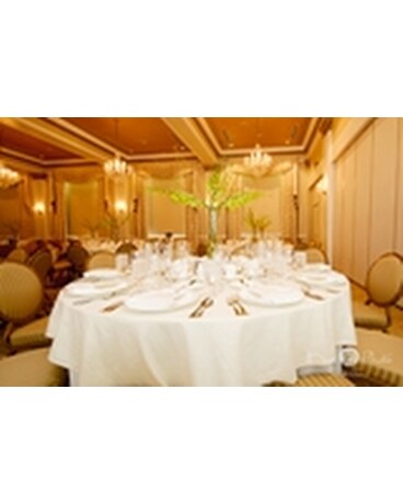 Falger Reception GW