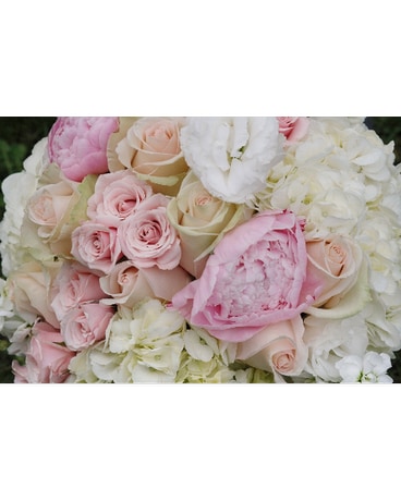 Carlson Bridal