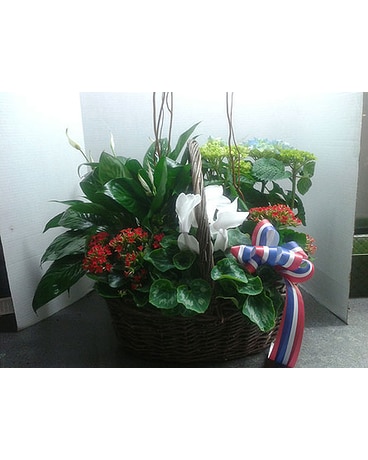 Plant basket S-1773