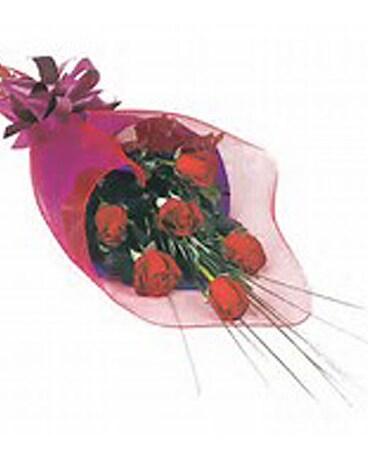 6 Red Roses
