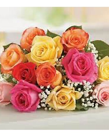 12 Mixed Roses
