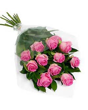 12 Pink Roses
