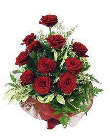 12 Red Roses