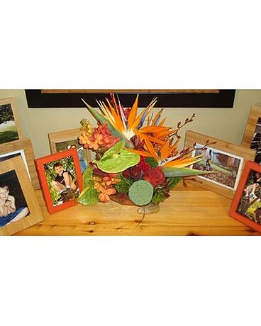 Our Work from ''Extreme Makeover: Home Edition''