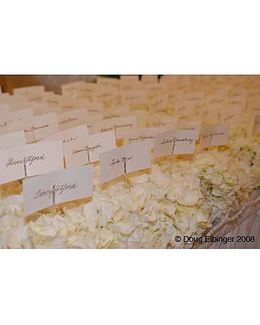 Summer Wedding