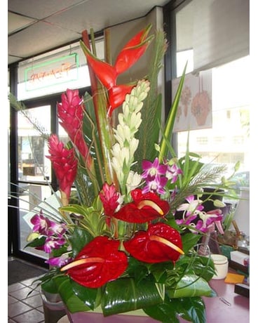 Tropical #P023