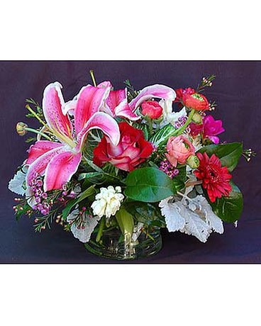 Mixed Spring Arrangement With Stargazers