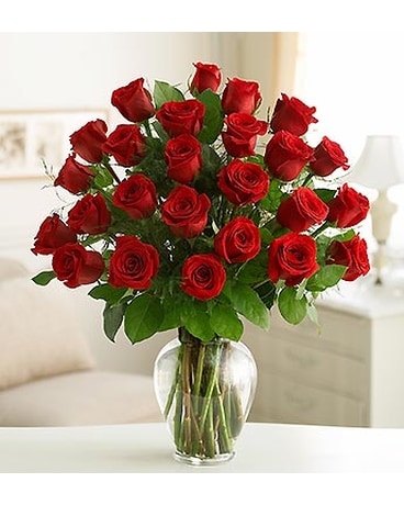 Two Dozen Roses - Choose Your Color