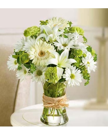 Serene Green