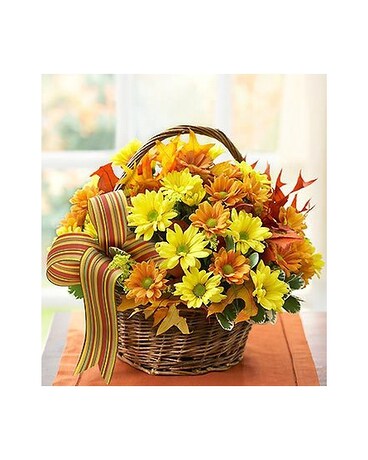 Scarlett's Flowers Fall Daisy Basket