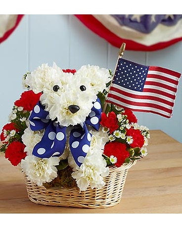 Yankee Doodle Doggie