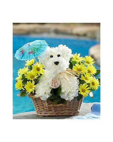 Doggie Paddle