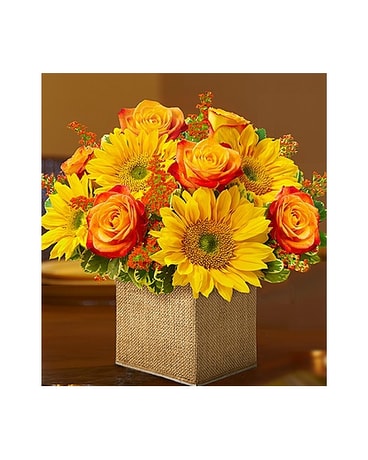 Scarlett's Flowers Fall Enchantment