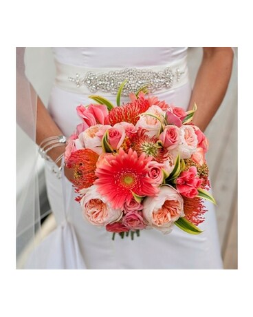 Coral Tropic
