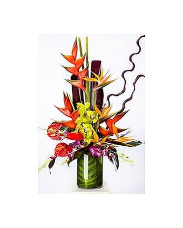 Tropical Chic