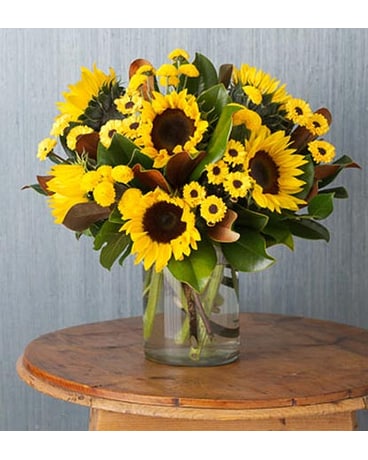 Sunflower Medley