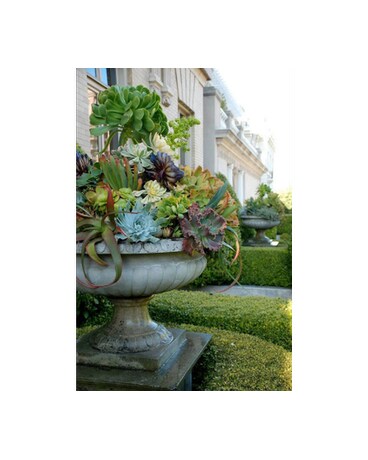 Custom Plant Designs