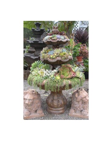 Custom Plant Designs